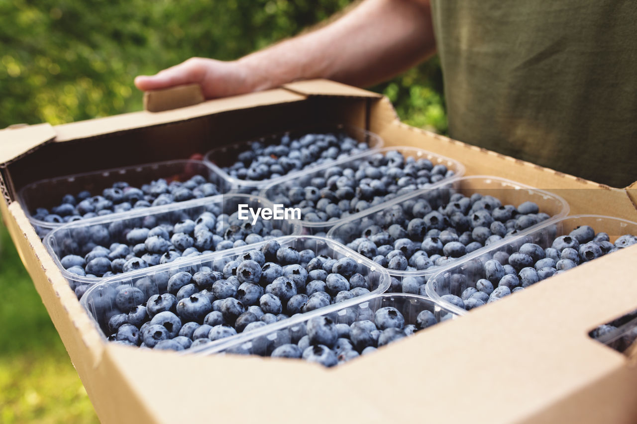 Man hands holding box with blueberry. healthy eating and alzheimer or dementia healing concept