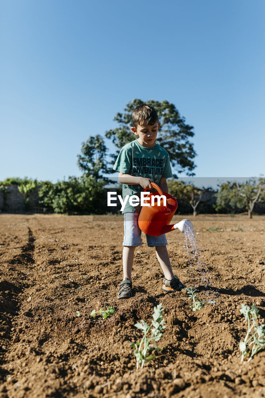 Boy watering newly planted plants in the garden