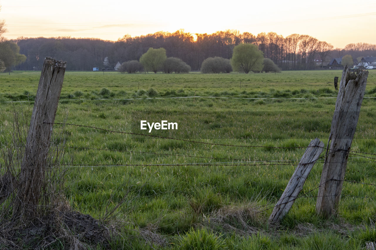 SCENIC VIEW OF FIELD AGAINST SKY DURING SUNSET