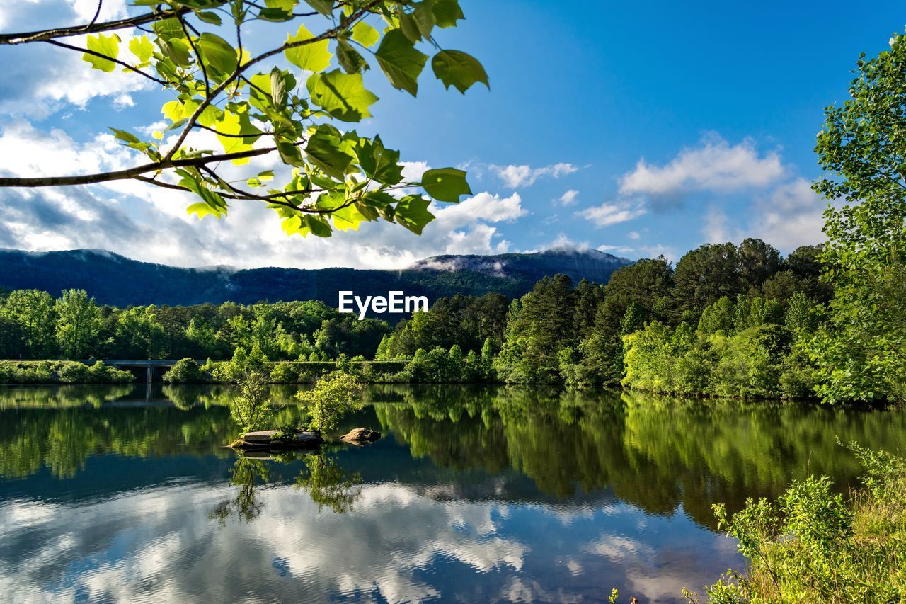 REFLECTION OF TREES IN LAKE AGAINST SKY