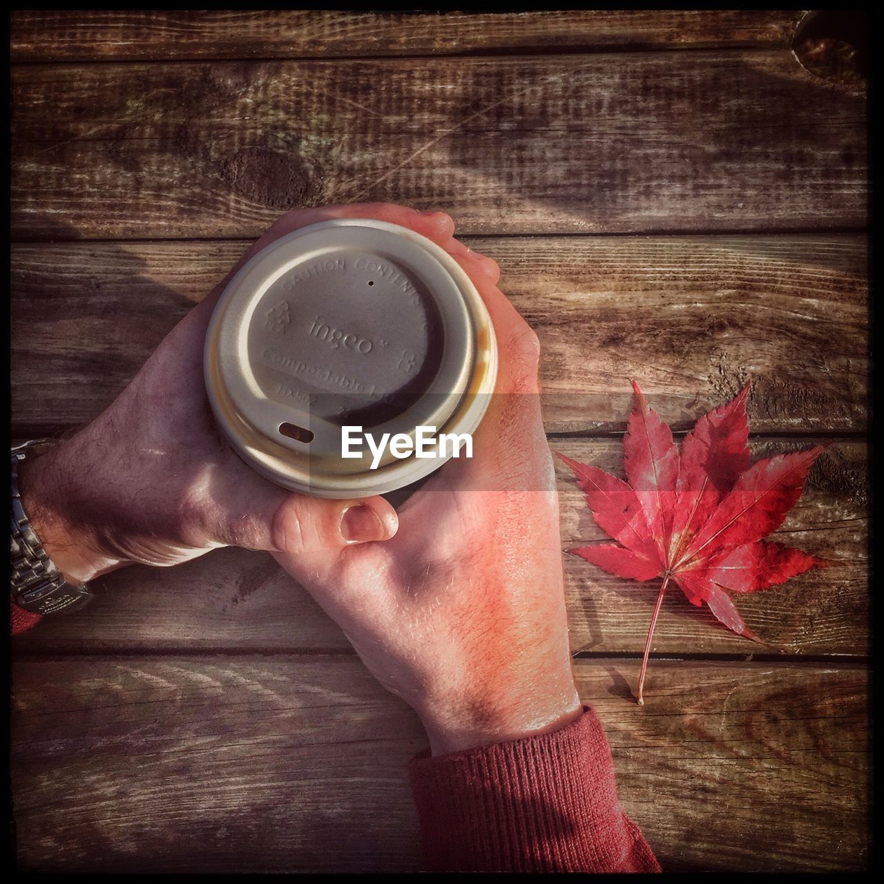 Cropped hand holding coffee cup on table by maple leaf during autumn