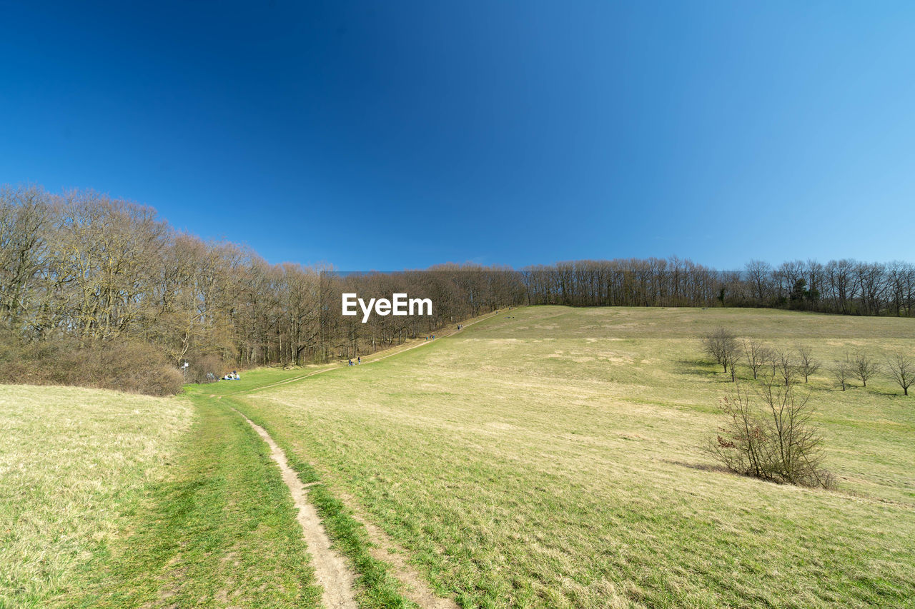 Scenic view of land against clear blue sky