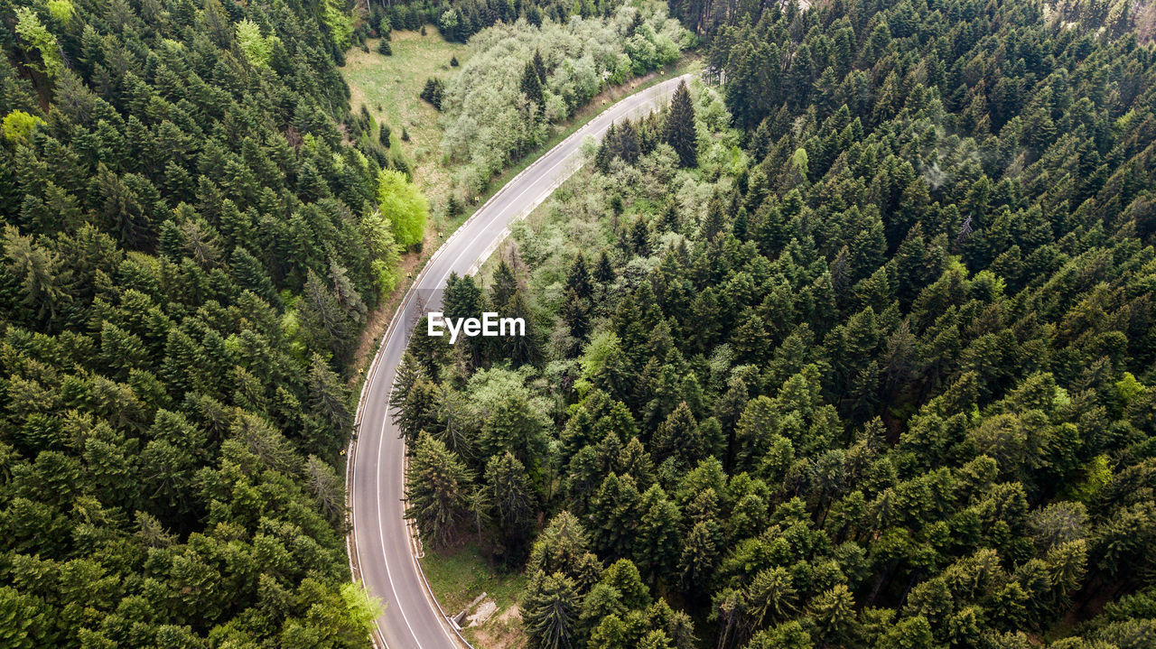 Aerial view of road amidst forest