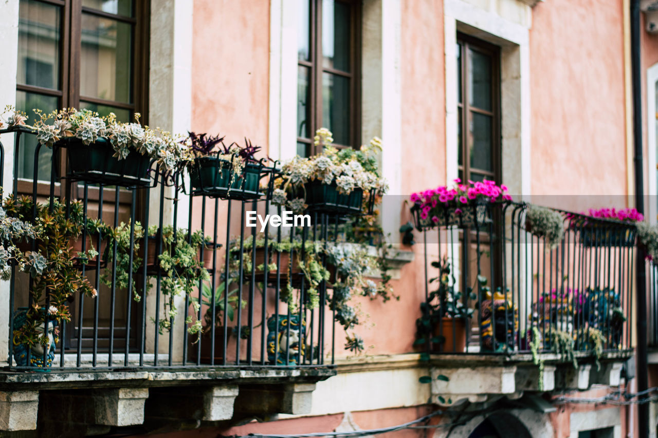 POTTED PLANTS ON RAILING OF BUILDING