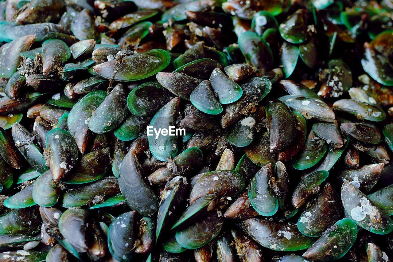 Full frame shot of vegetables