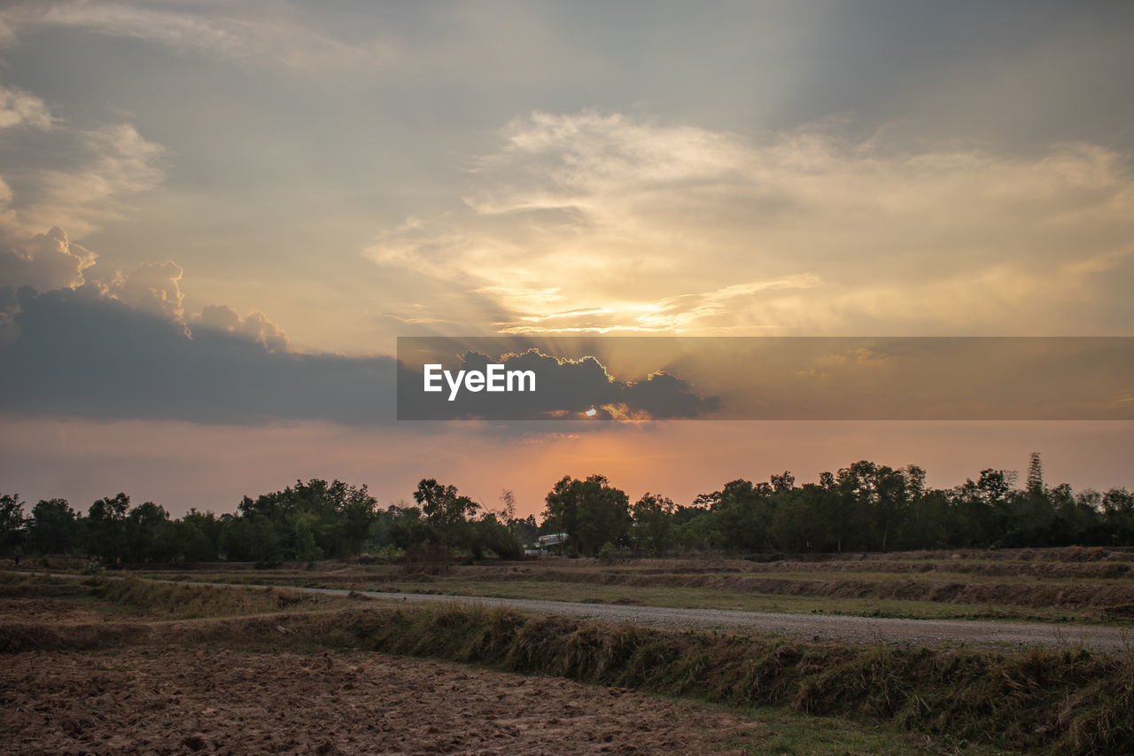 Scenic view of field against sky during sunset