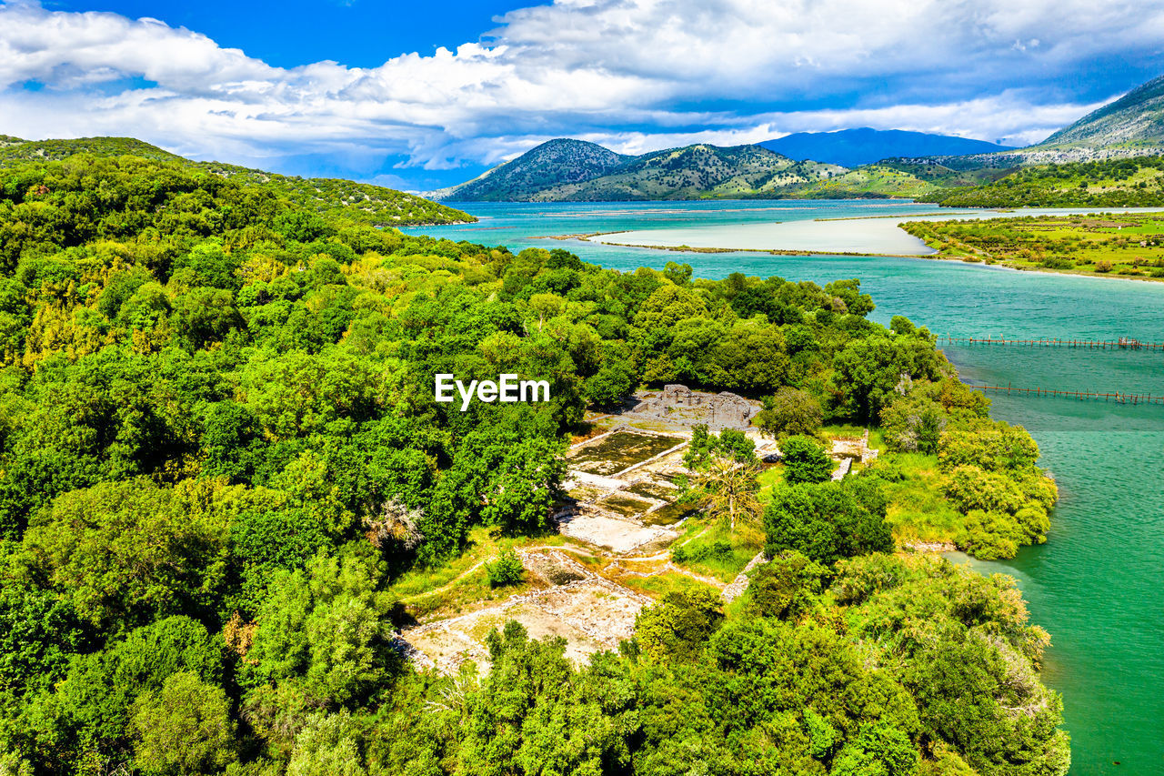 HIGH ANGLE VIEW OF TREES AND SEA AGAINST SKY