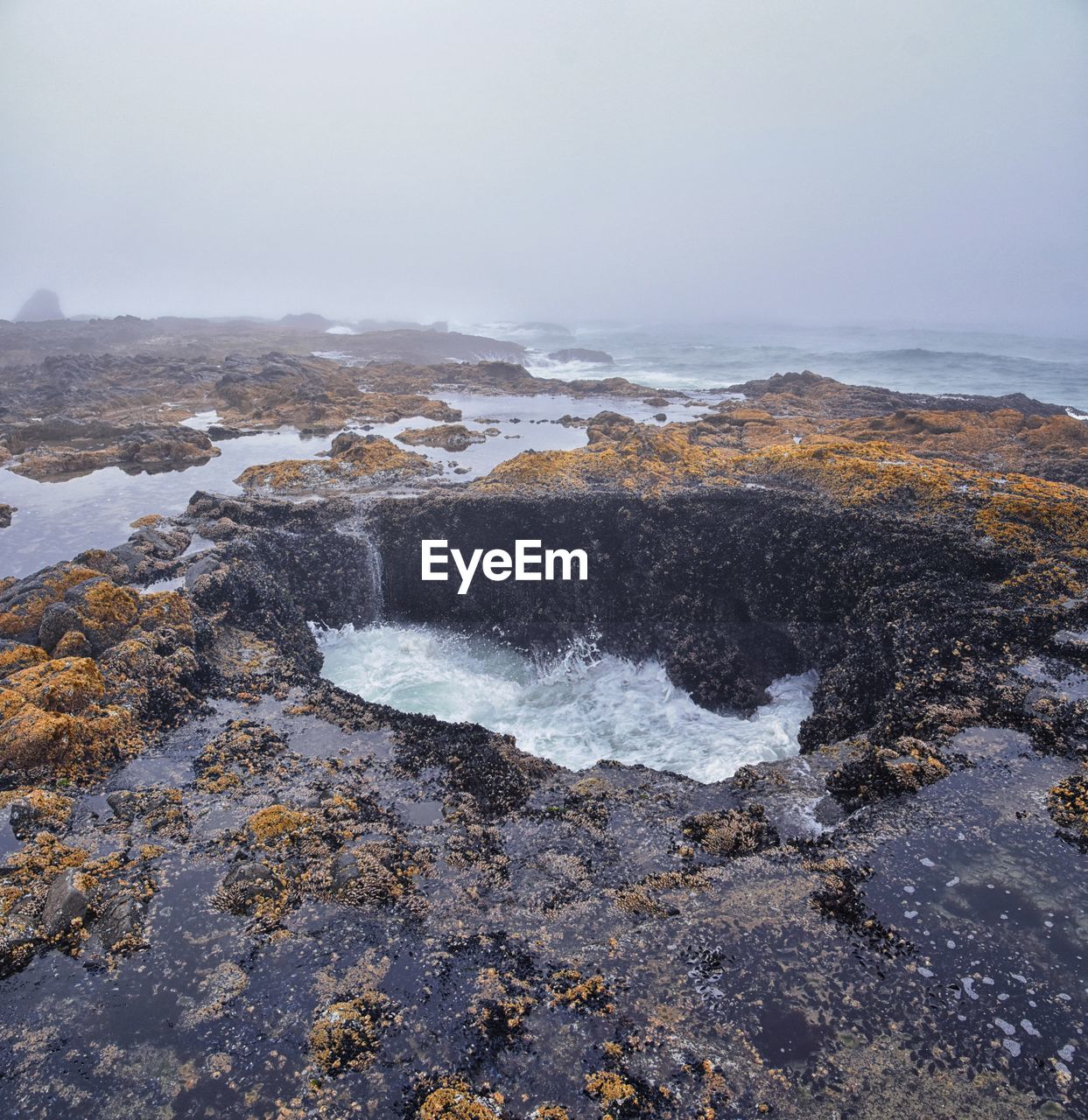 water, sea, coast, shore, ocean, land, rock, wave, beauty in nature, environment, beach, scenics - nature, nature, sky, body of water, landscape, no people, travel destinations, outdoors, travel, tranquility, winter, wind wave, cliff, day, tourism, motion, non-urban scene, coastline, horizon, fog, cloud, terrain, cold temperature, tranquil scene, mountain, sports, morning