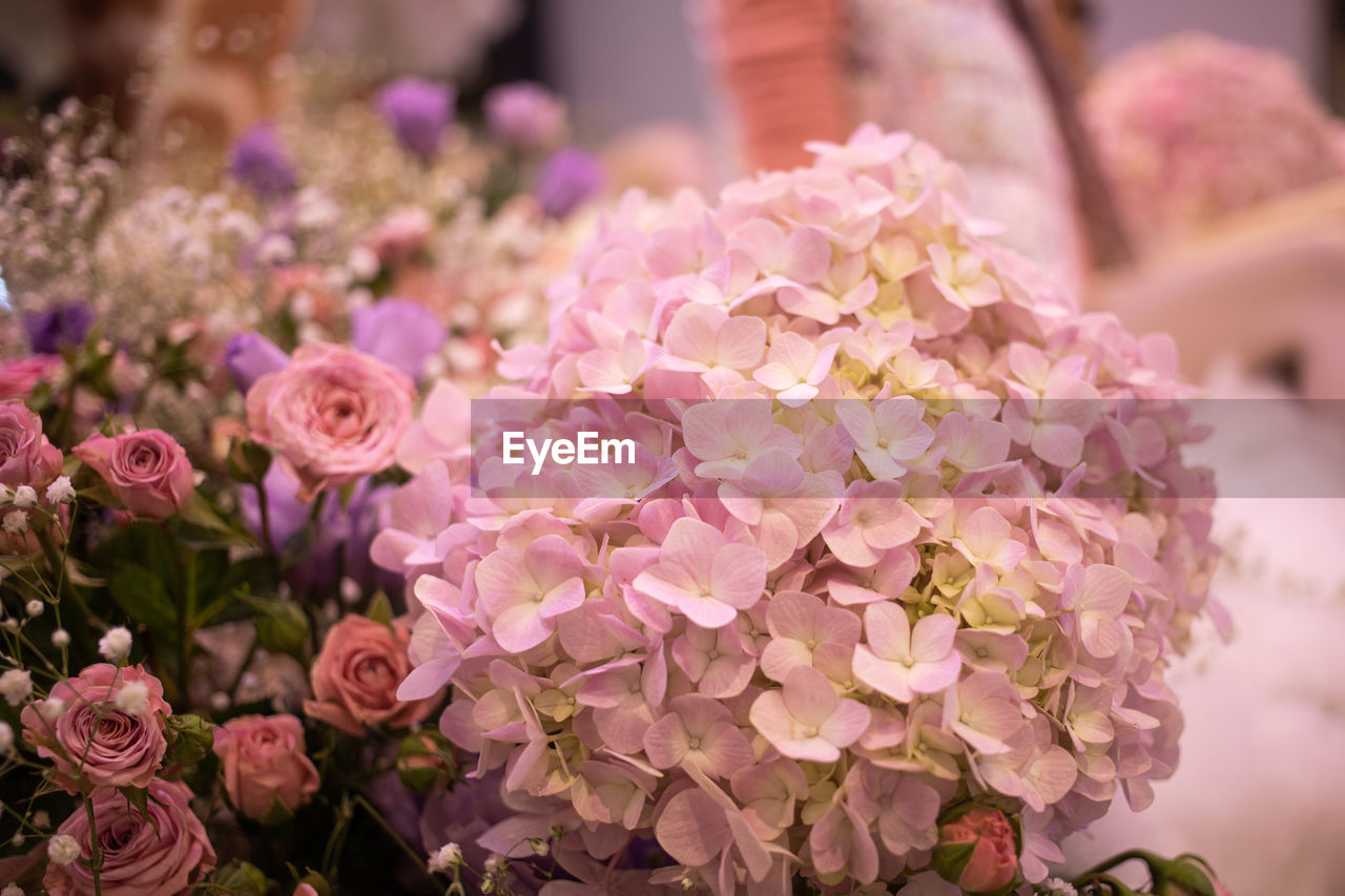 Flower and plant in the garden which held in the exhibition