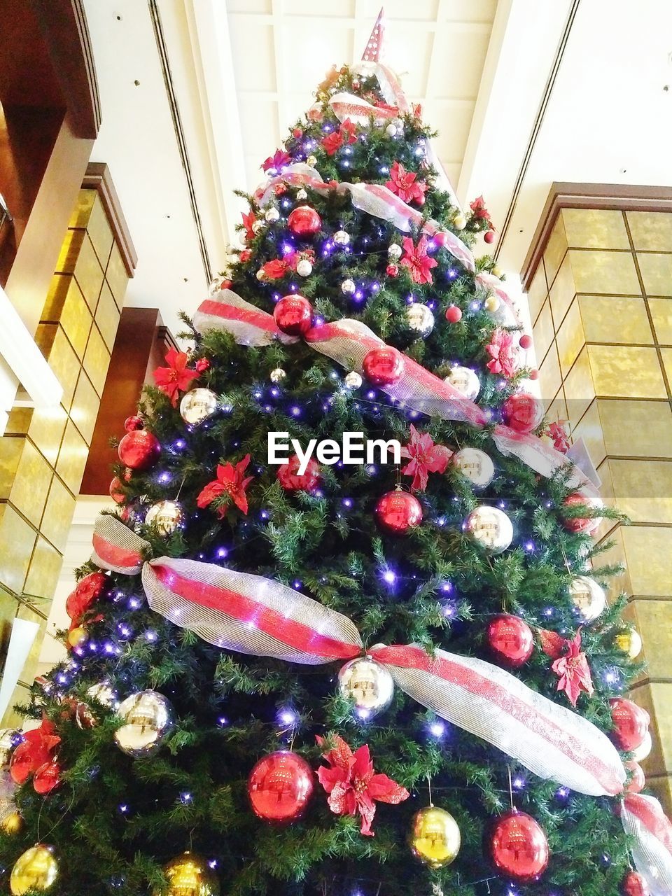 LOW ANGLE VIEW OF DECORATED CHRISTMAS TREE