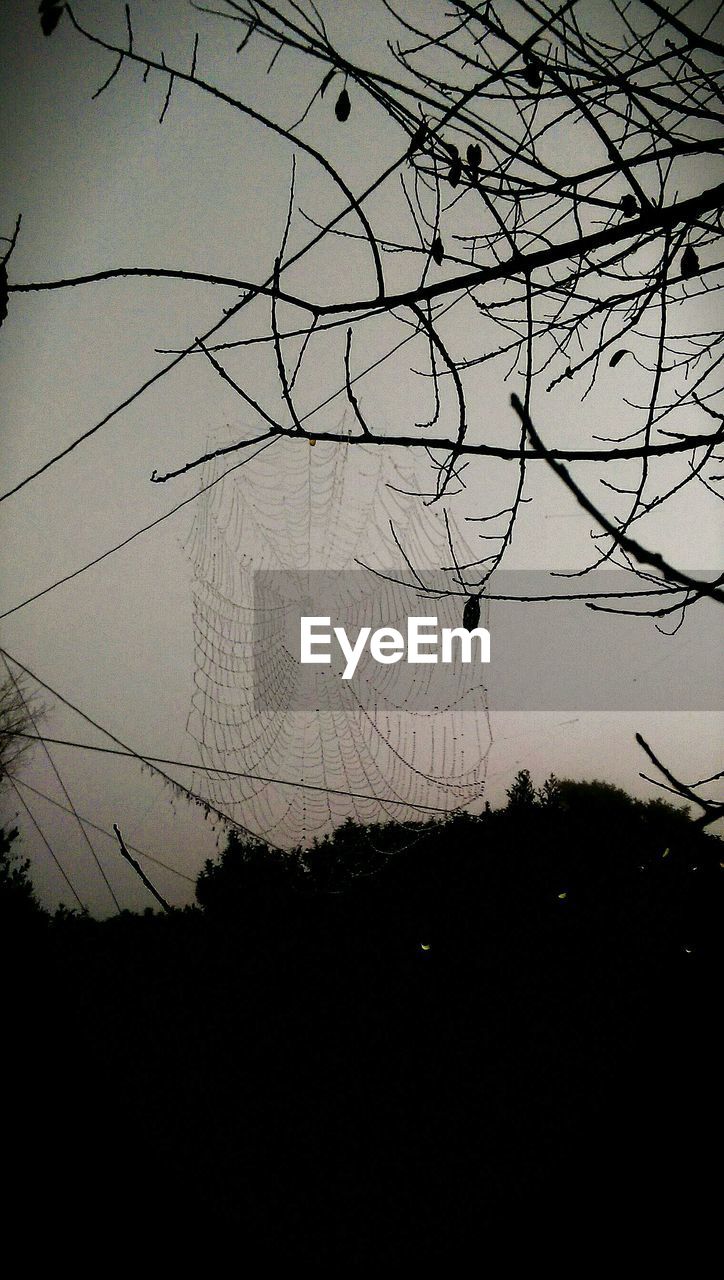 SILHOUETTE OF BARE TREE AGAINST SKY