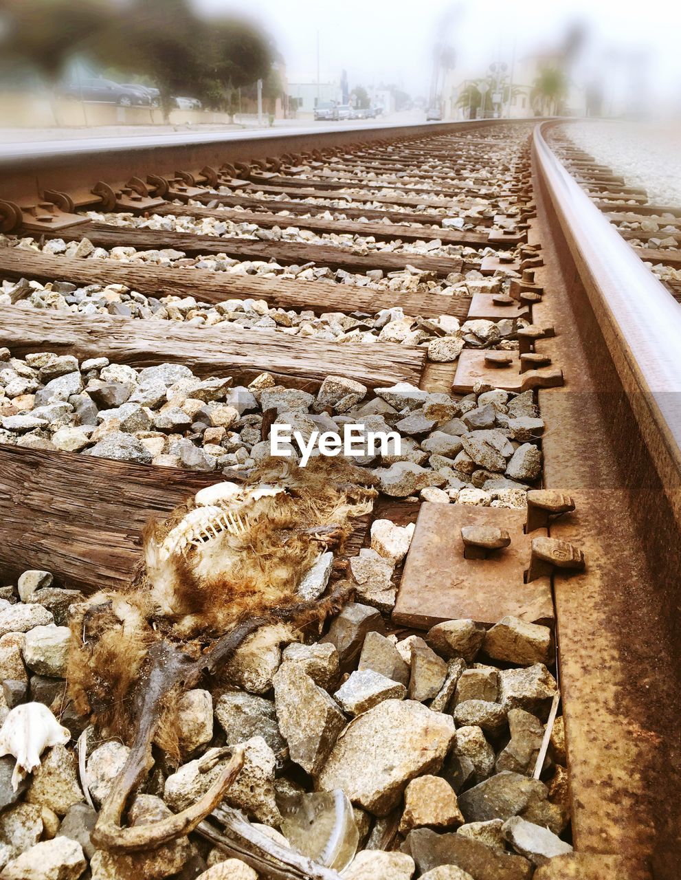 SURFACE LEVEL OF RAILWAY TRACKS