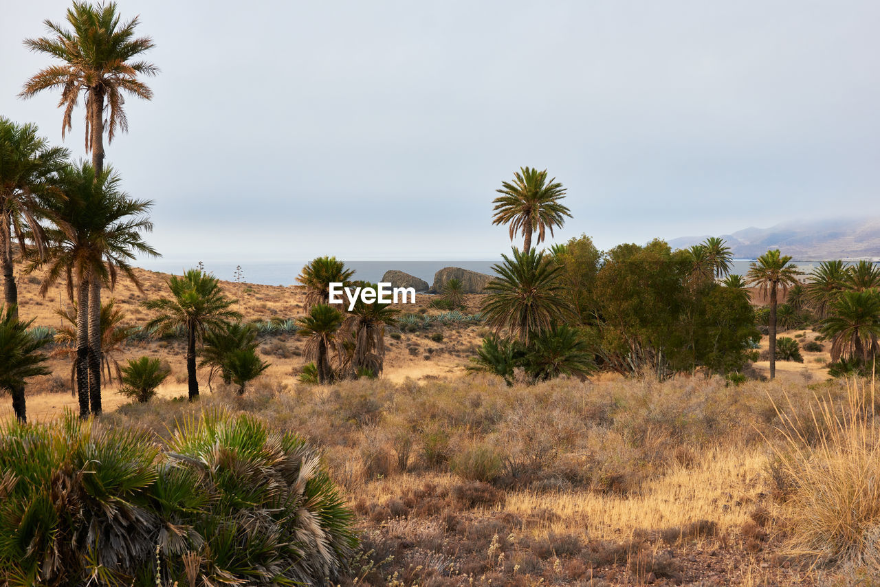 A typical landscape of desert of almeria, spain