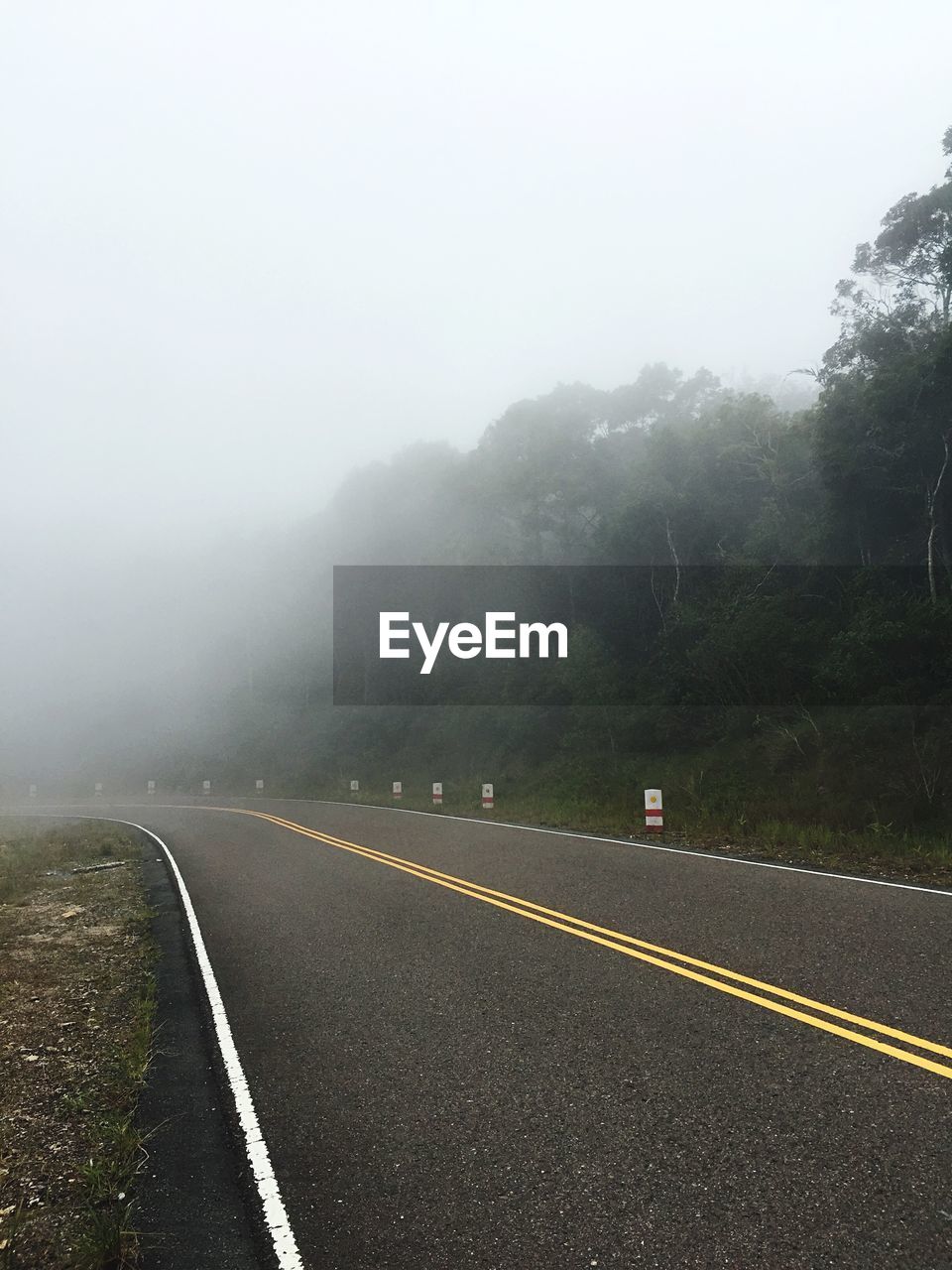 ROAD BY TREES AGAINST SKY DURING FOGGY WEATHER