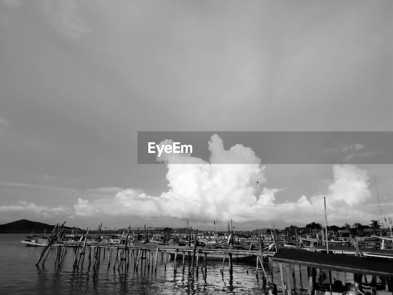 Sailboats moored in harbor