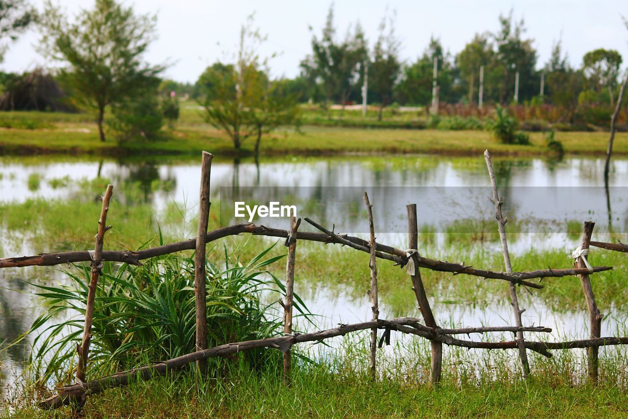 Scenic view of marsh by trees against sky