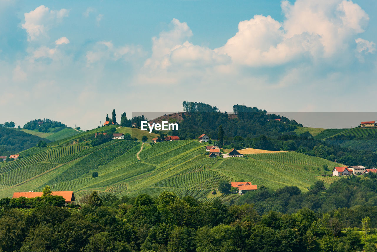 PANORAMIC VIEW OF AGRICULTURAL LANDSCAPE AGAINST SKY