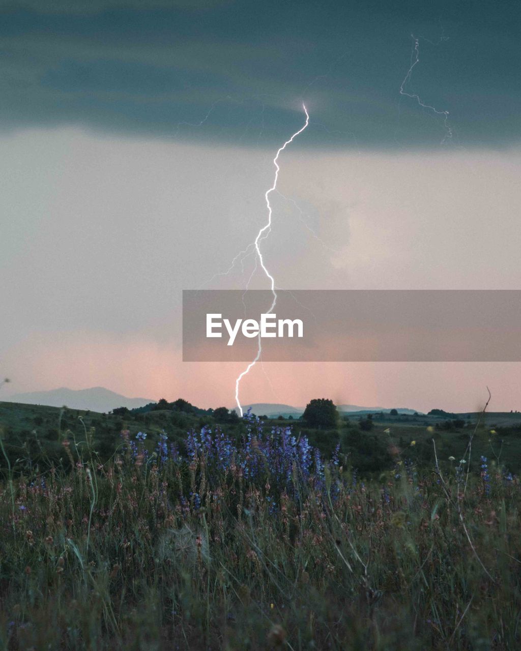 Scenic view of lightning over field against sky