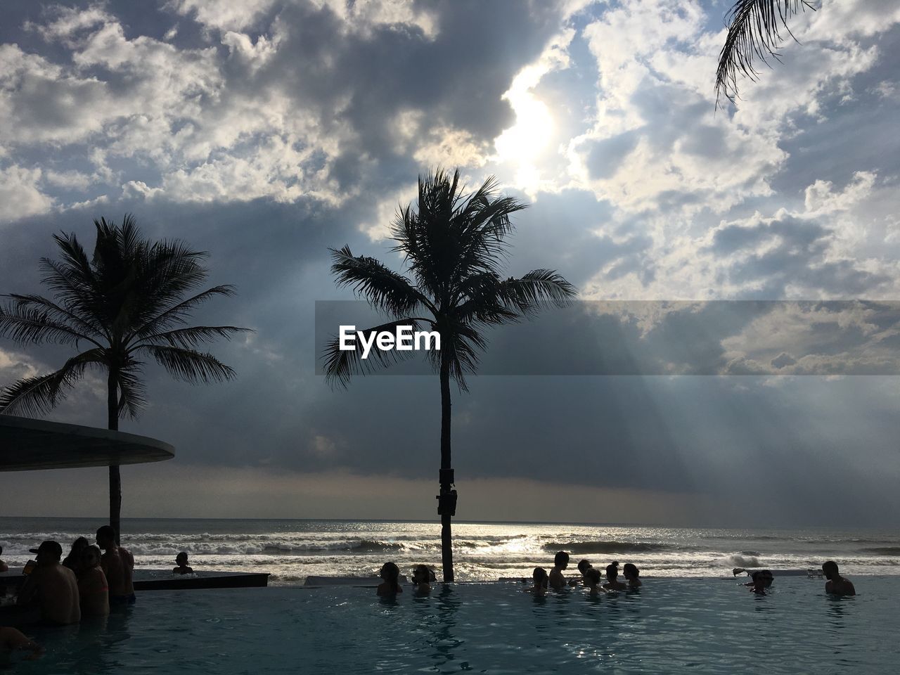 VIEW OF PALM TREES ON BEACH