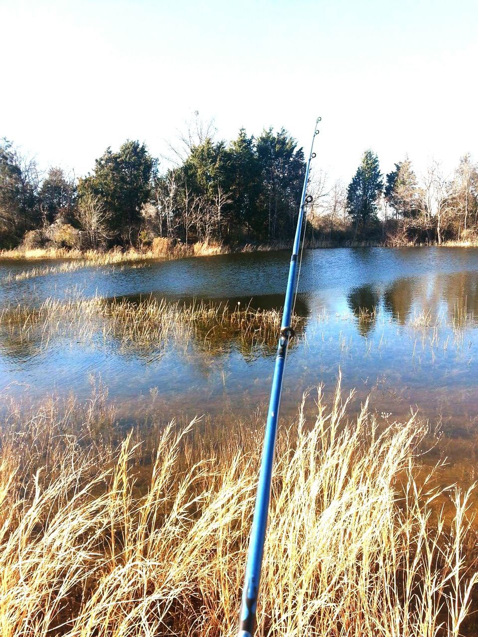 Fishing rod against lake