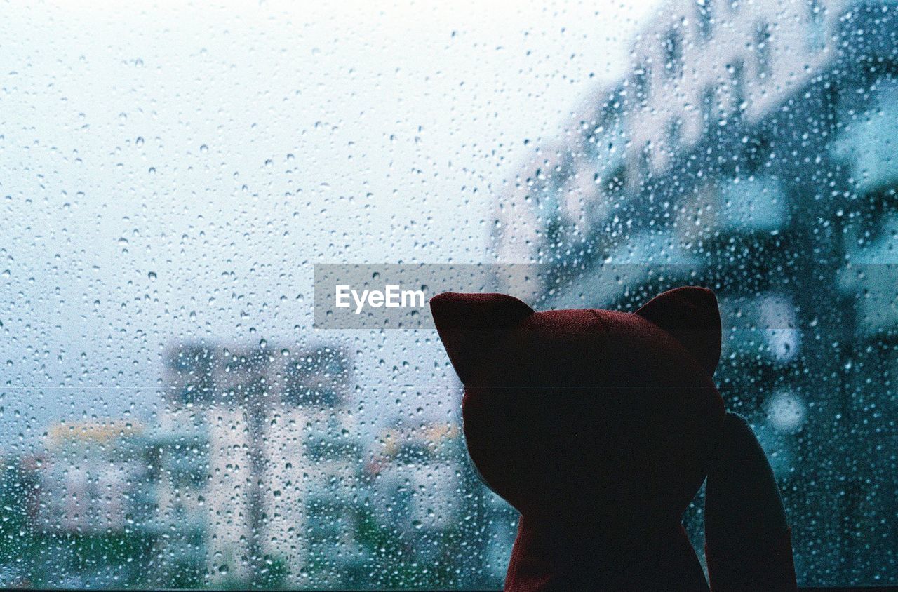 Shadow of toy fox on wet window in rainy season