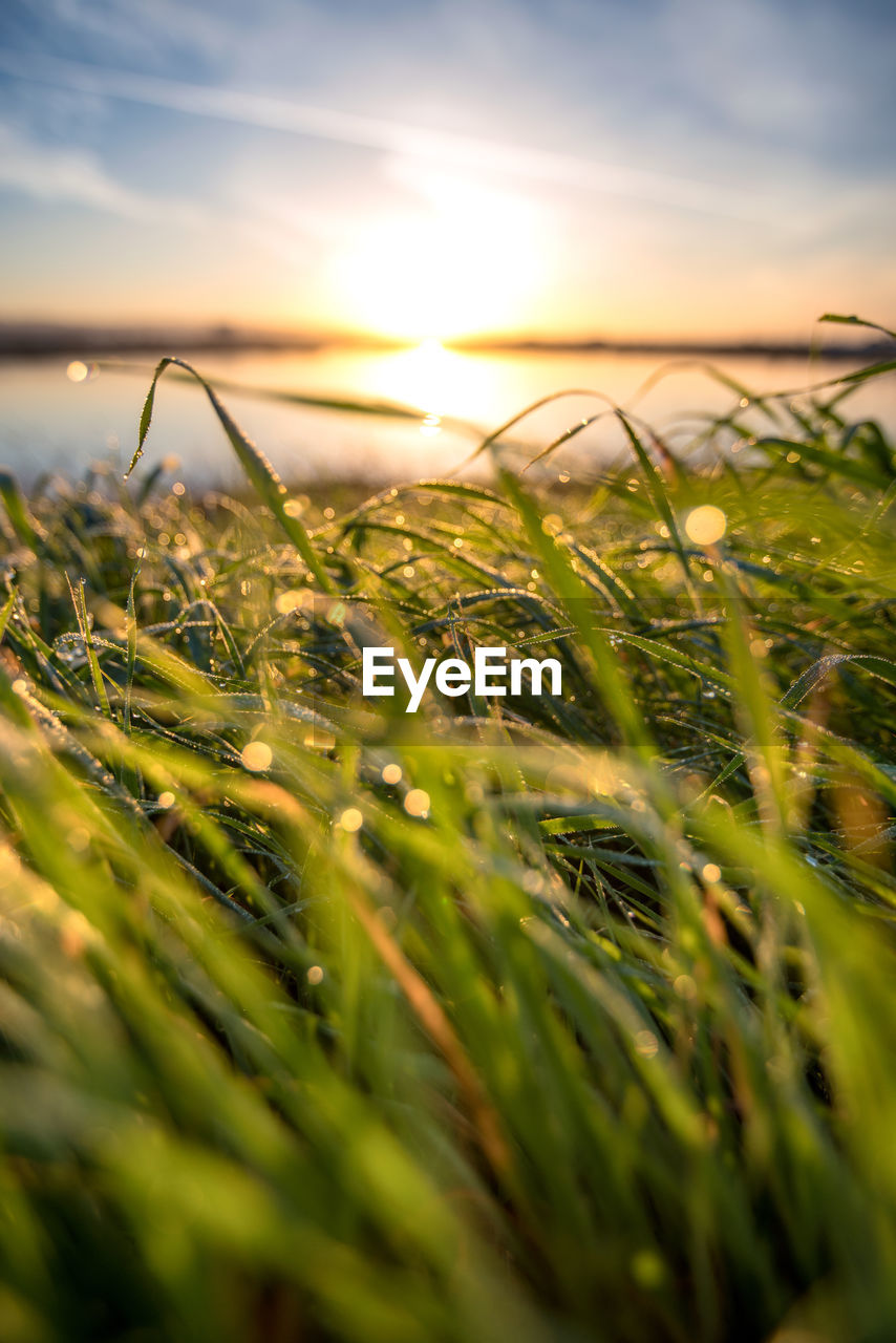 Scenic view of grassy field against cloudy sky