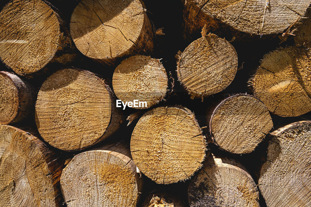 FULL FRAME SHOT OF FIREWOOD IN FOREST