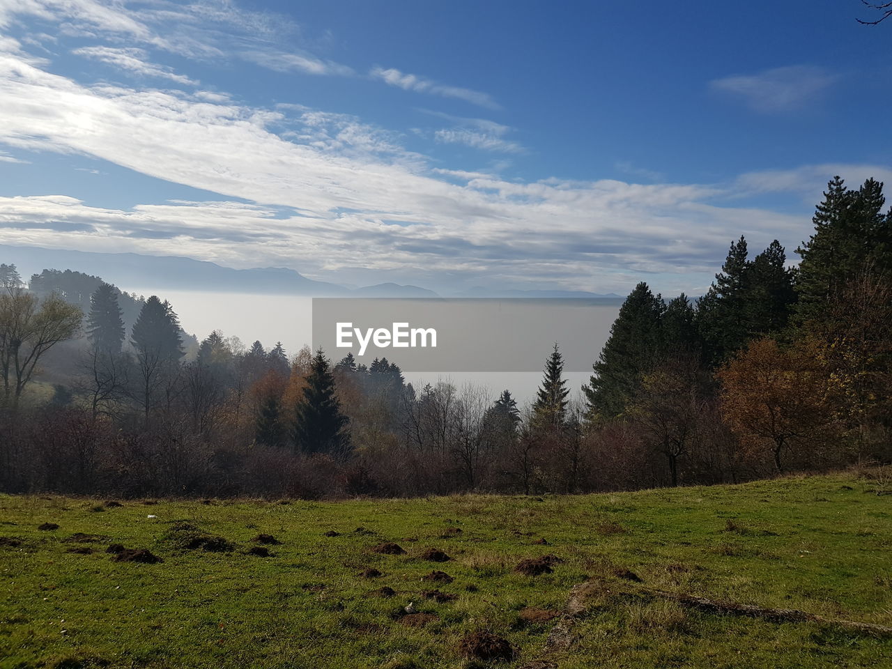 SCENIC VIEW OF LAND AGAINST SKY