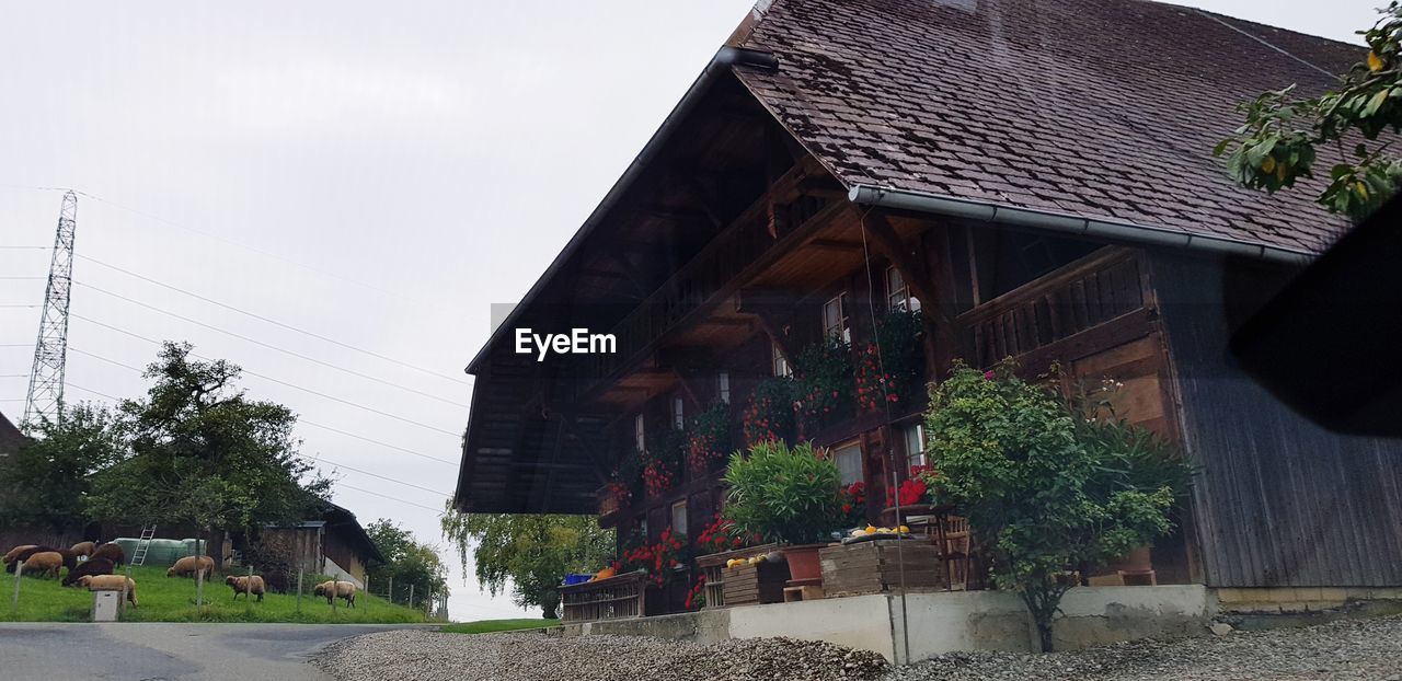 LOW ANGLE VIEW OF HOUSES AGAINST SKY