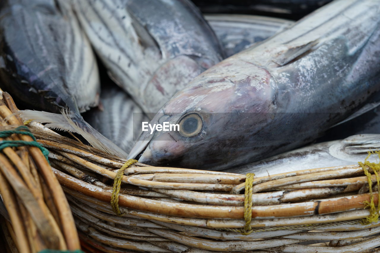 Closeup of pile tuna fish at fishing harbour in indonesia