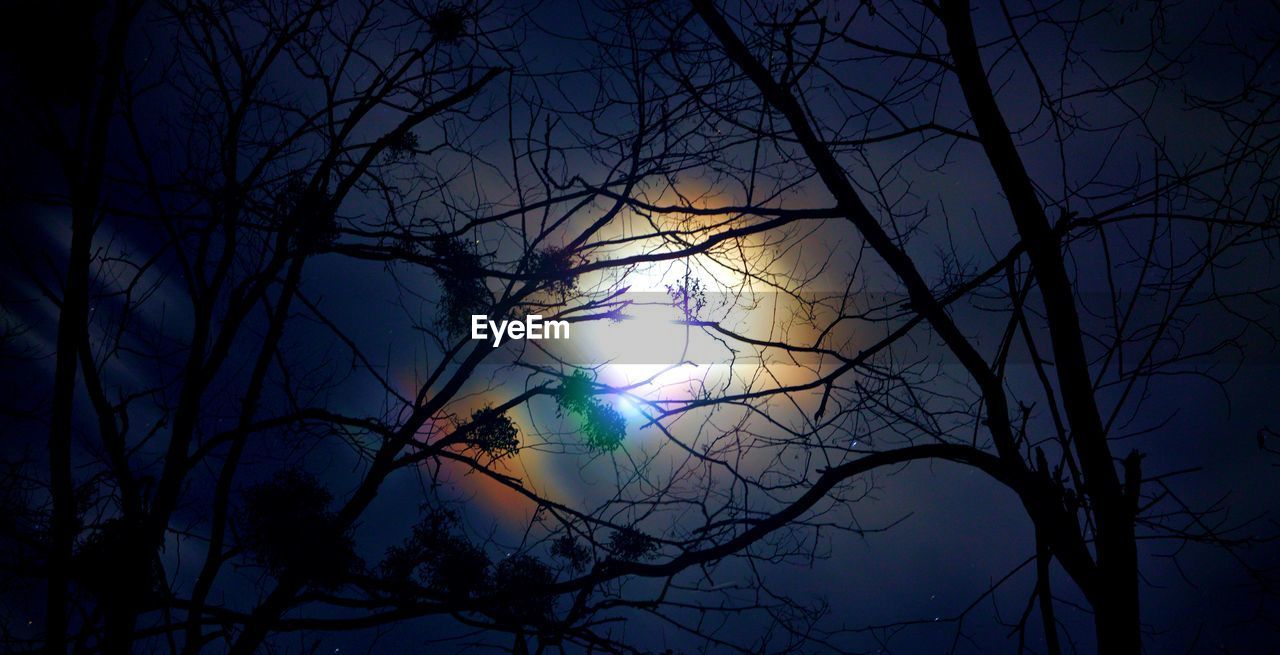 LOW ANGLE VIEW OF BARE TREE AGAINST SKY AT NIGHT