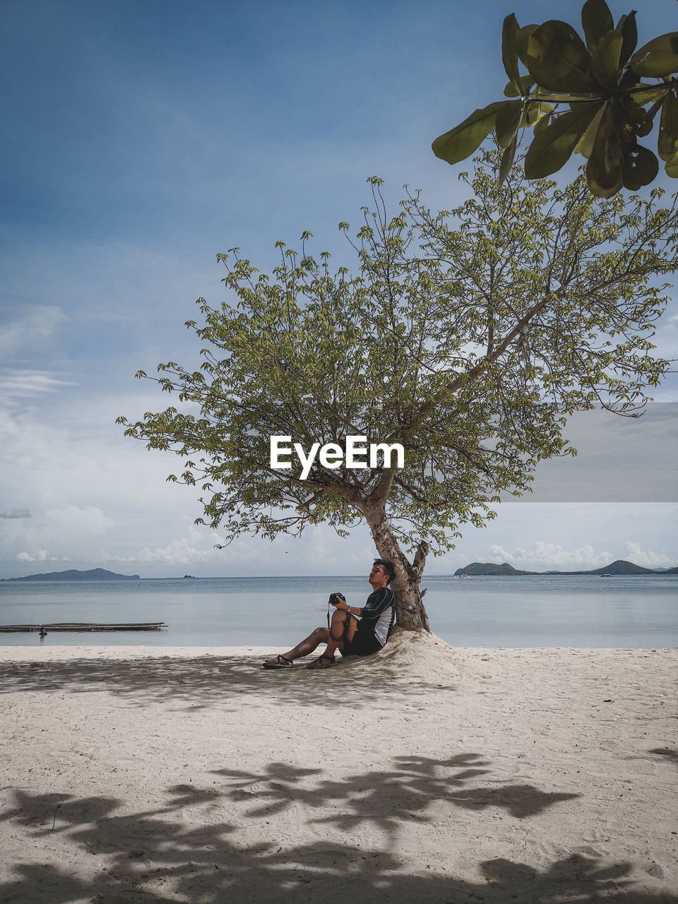 Young man sitting by tree trunk at beach