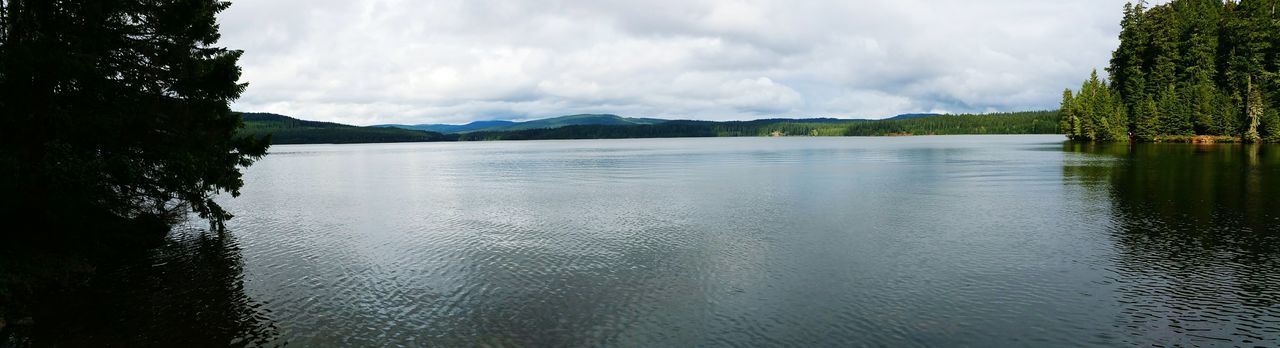 SCENIC VIEW OF LAKE BY TREE AGAINST SKY