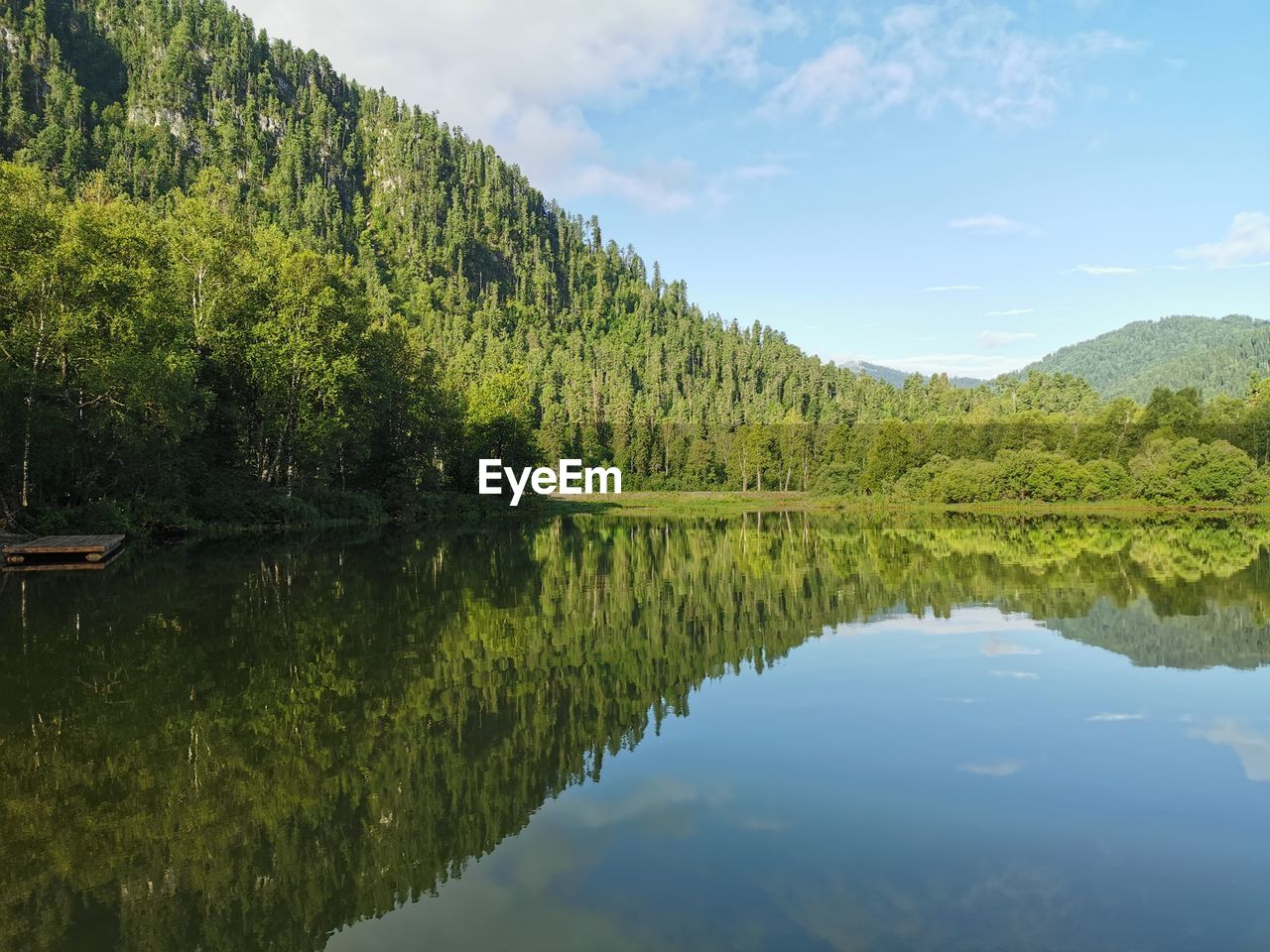 Scenic view of lake by trees against sky