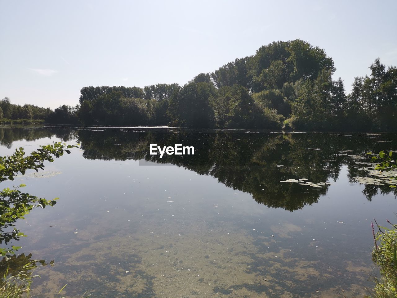 REFLECTION OF TREES ON LAKE AGAINST SKY