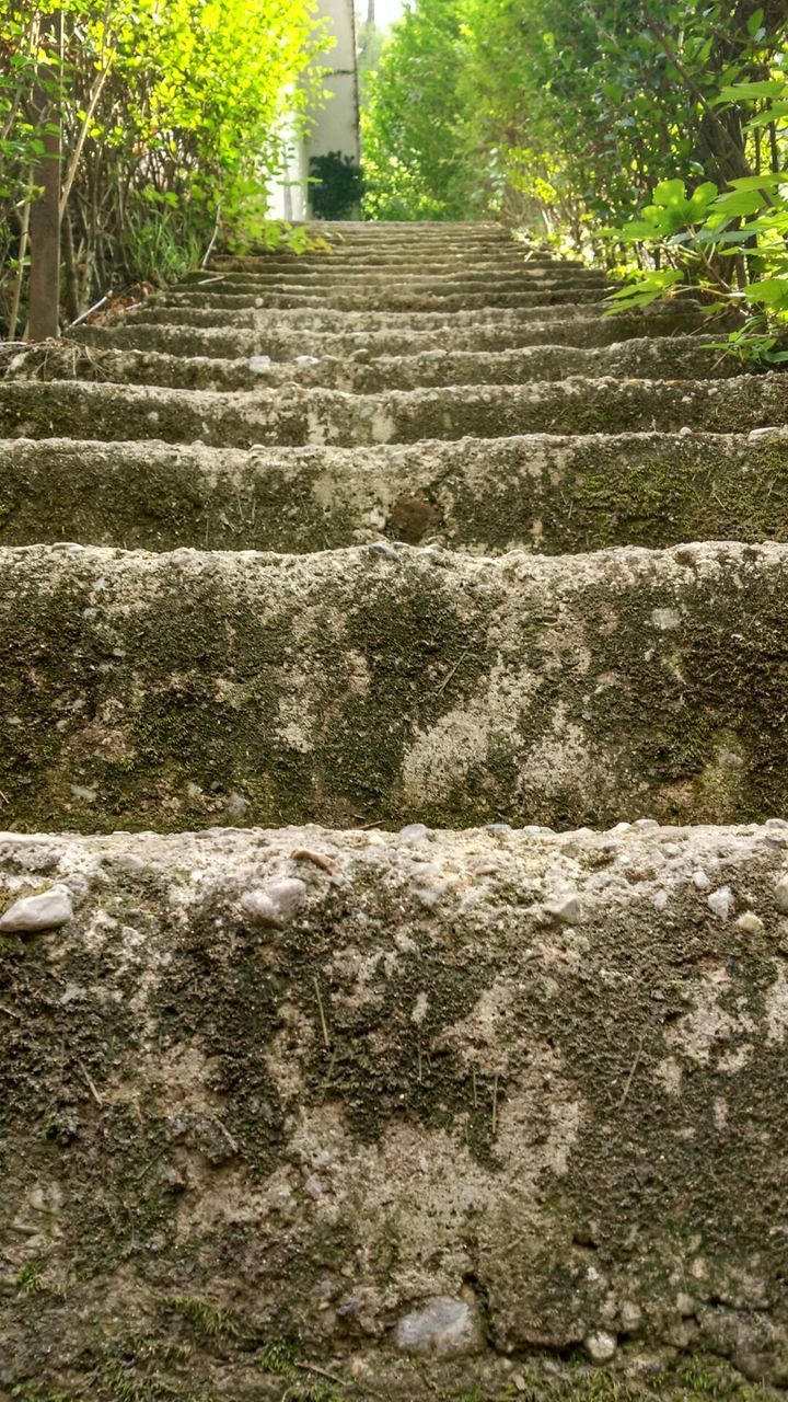 SURFACE LEVEL OF STAIRS IN PARK