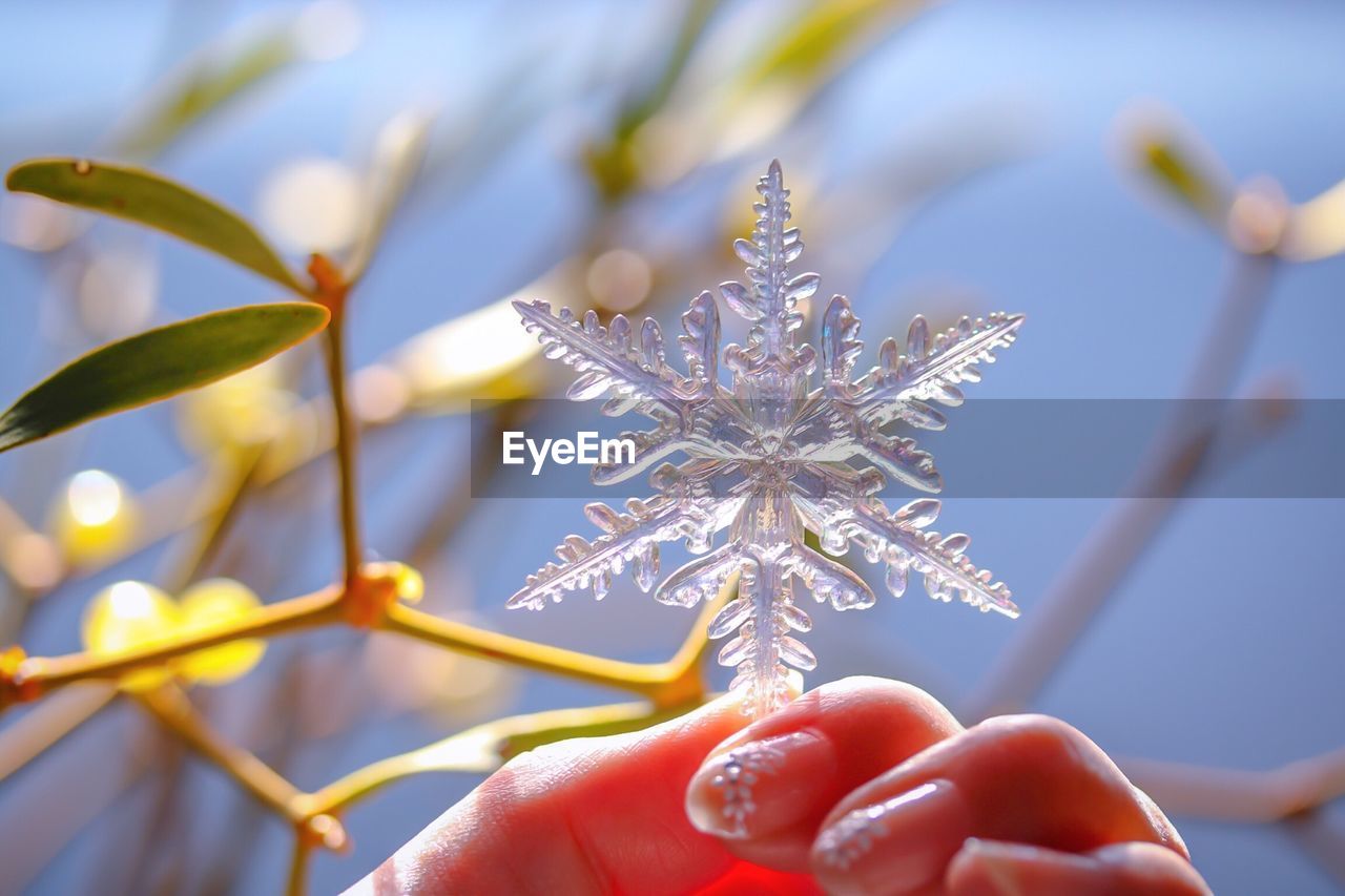 Close-up of hand holding snowflake