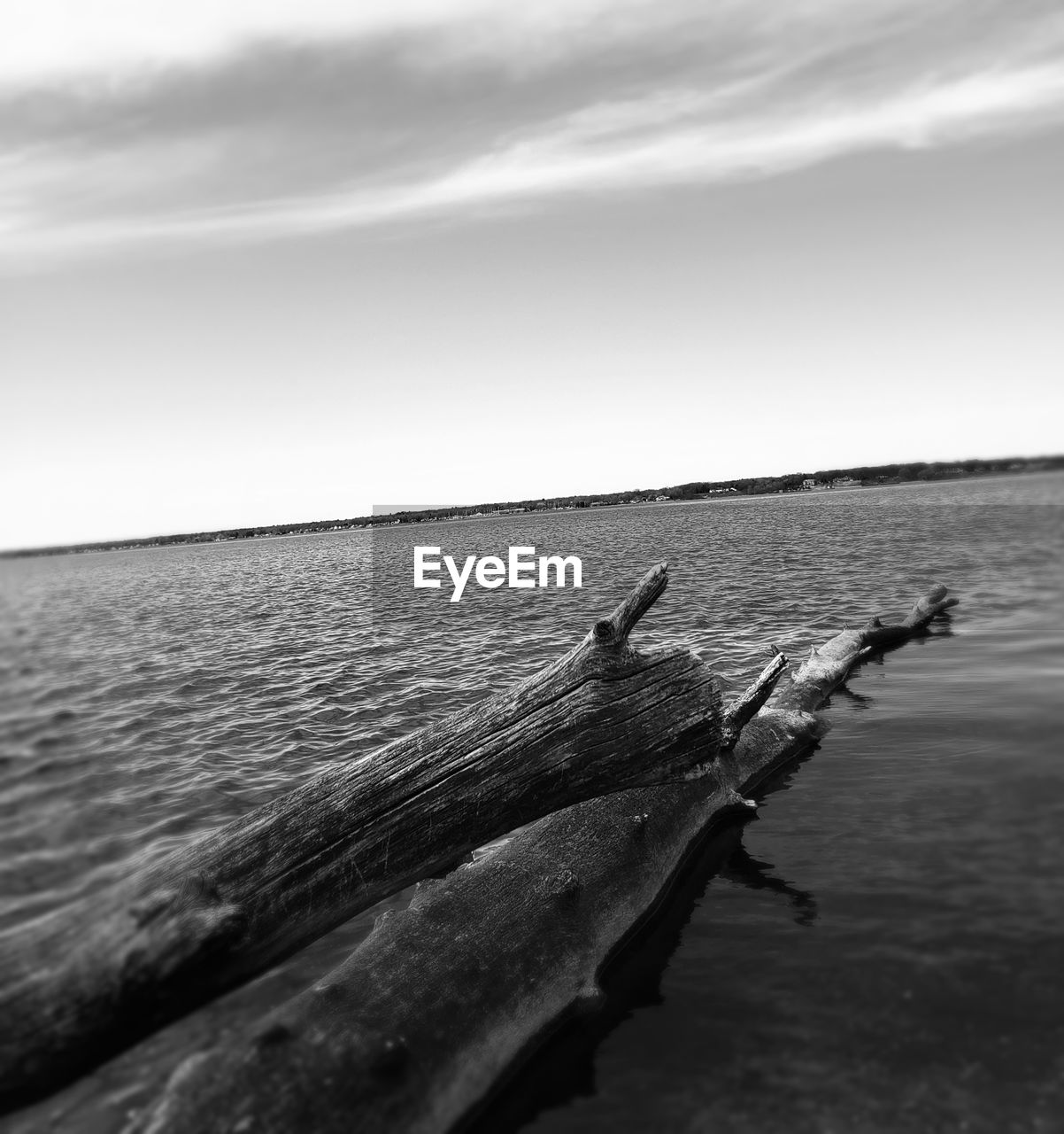 VIEW OF DRIFTWOOD ON WOOD AGAINST SEA