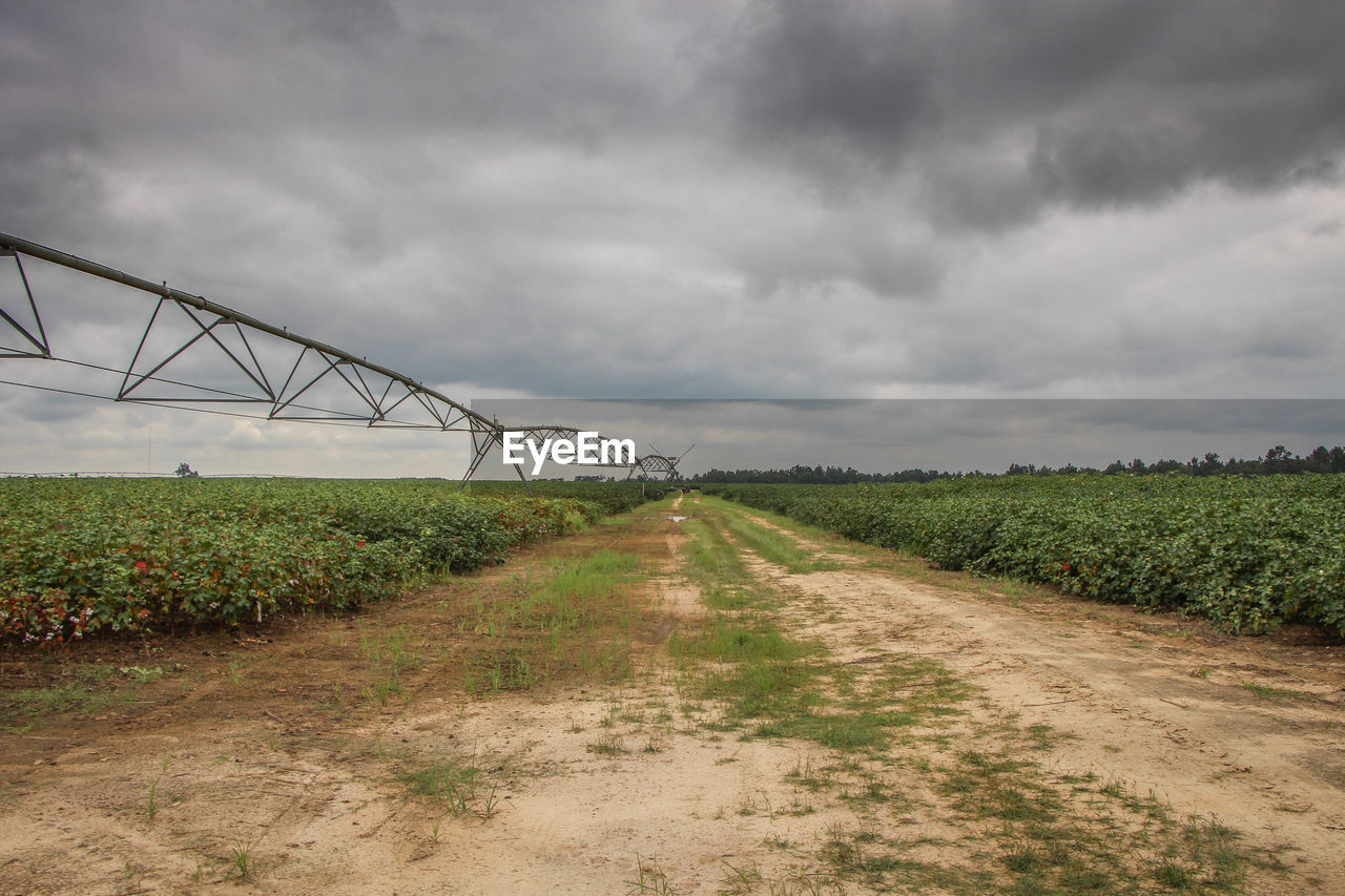 Scenic view of field against cloudy sky