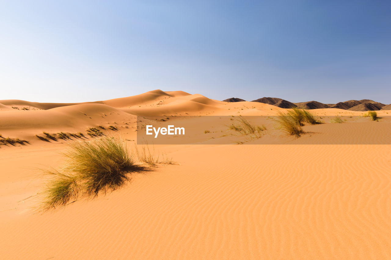 Scenic view of desert against clear sky