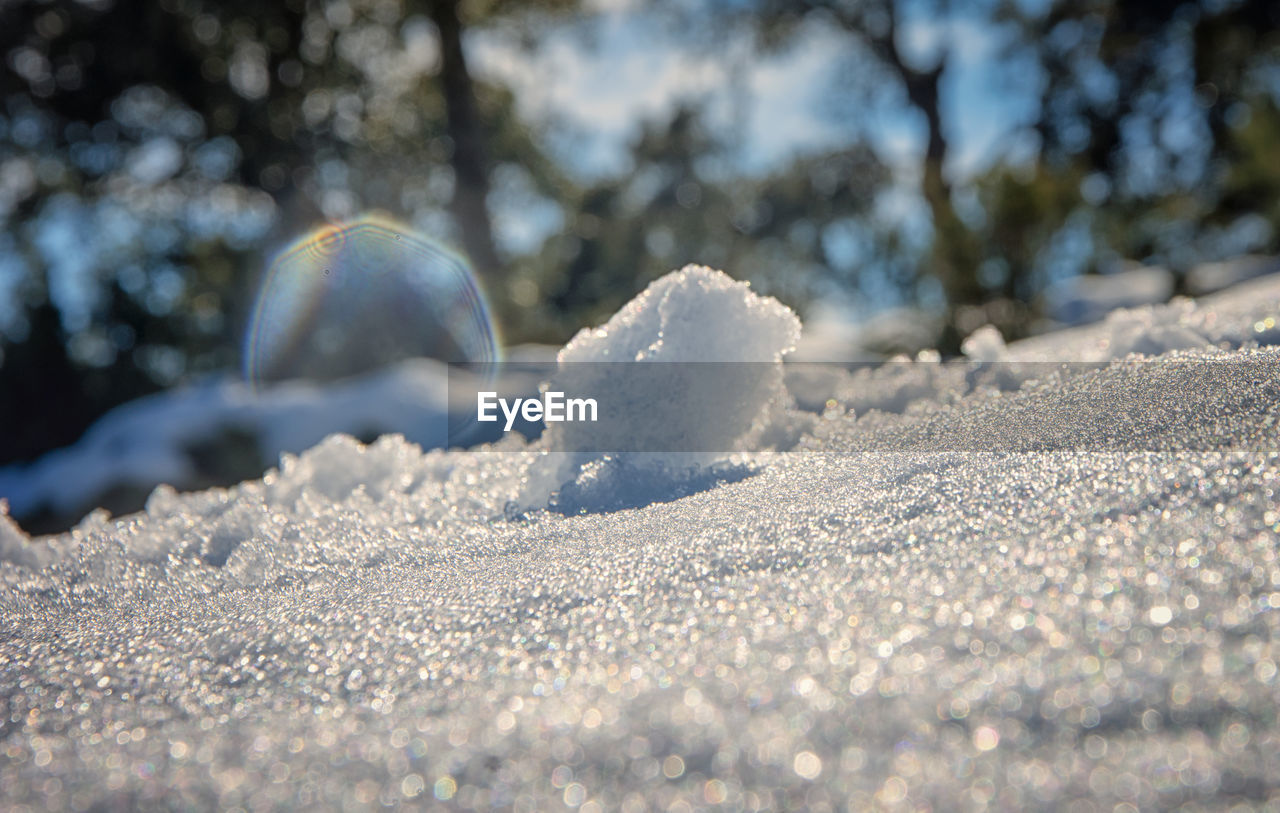 Close-up of snow covered landscape