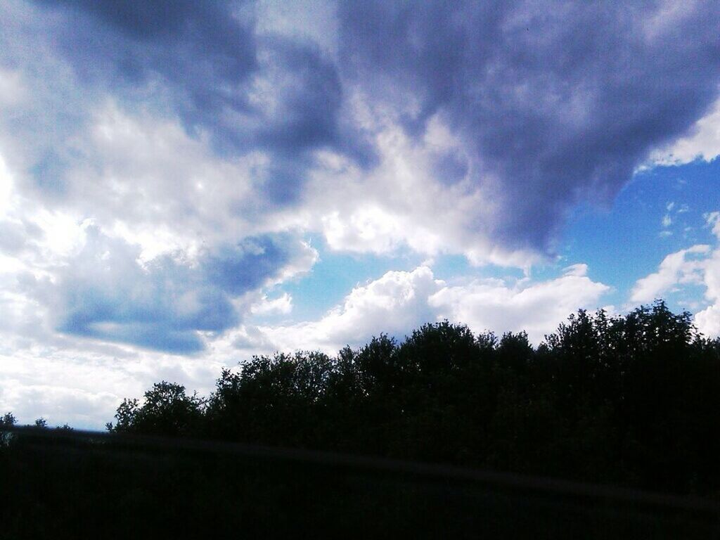 TREES ON LANDSCAPE AGAINST CLOUDY SKY