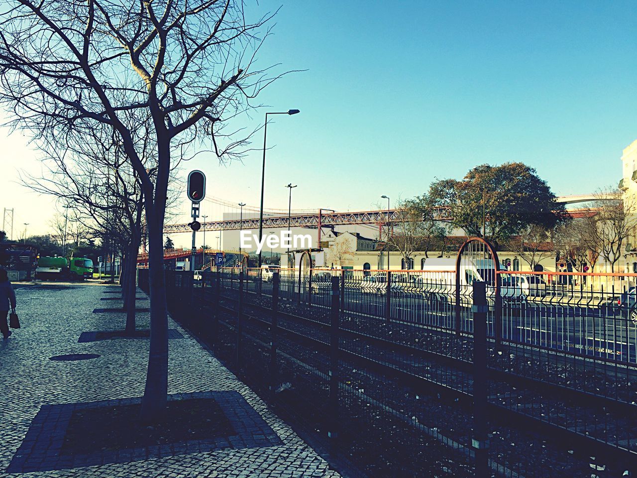 Bare trees in row by railway tracks