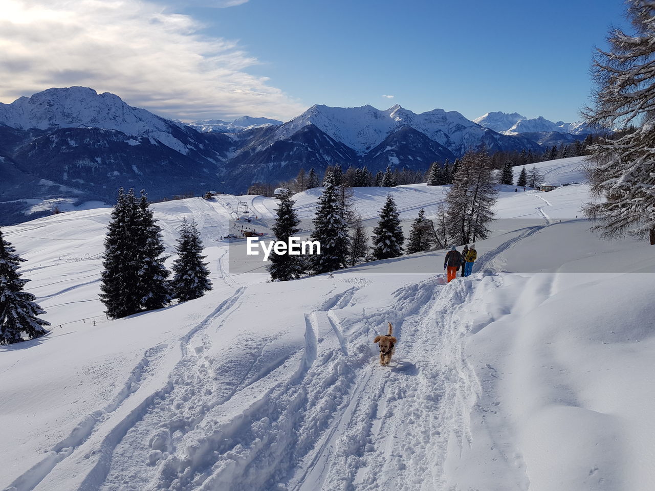 People hiking in snow covered mountains