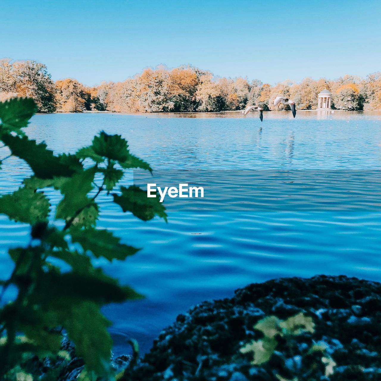 Scenic view of lake against clear blue sky