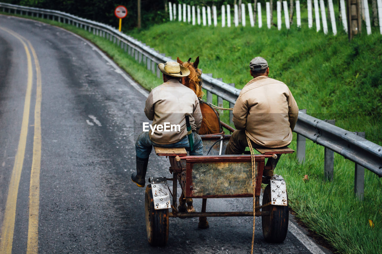 Rear view of people on road