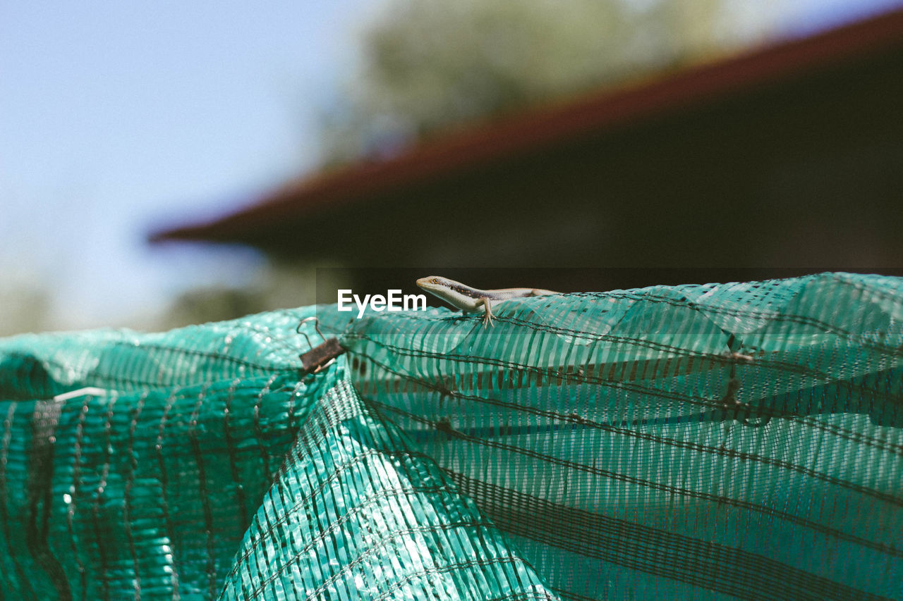 Close-up of fishing net