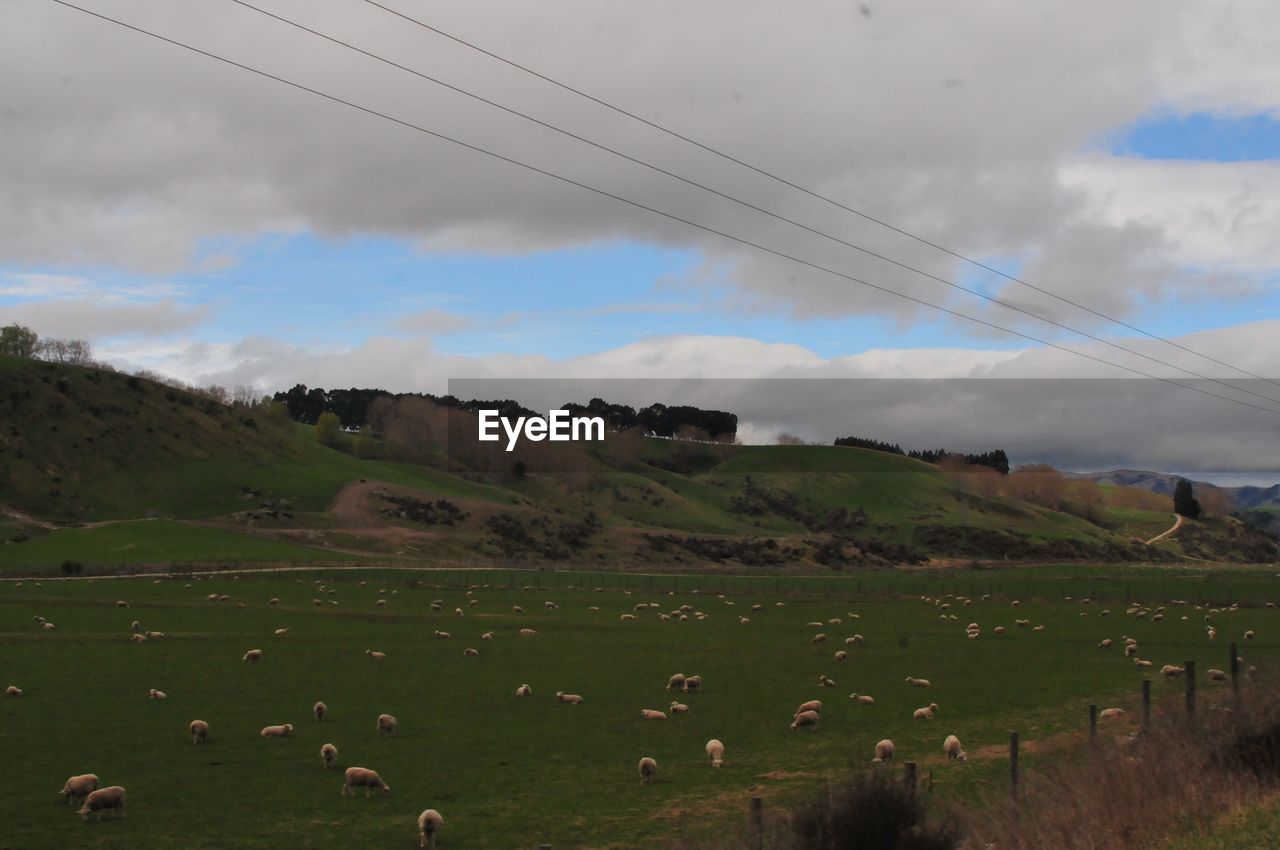 SCENIC VIEW OF FARM AGAINST SKY