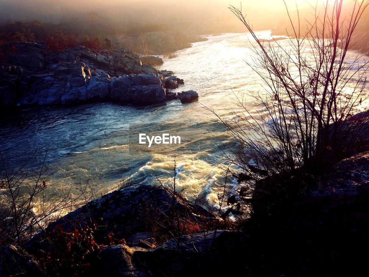 SCENIC VIEW OF SEA WITH TREES IN BACKGROUND