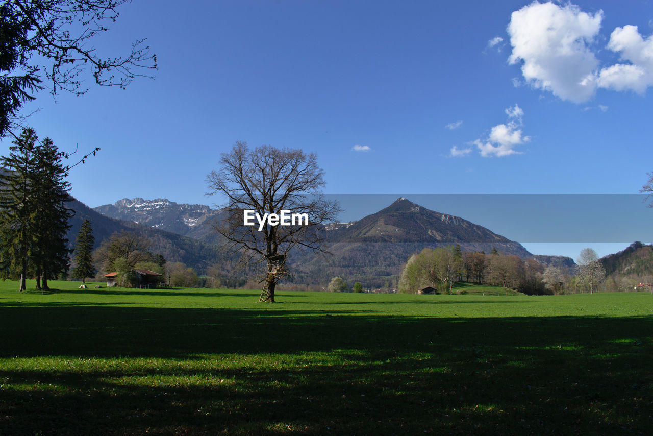 Scenic view of mountain and tree on a field against sky